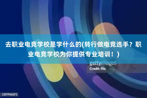 去职业电竞学校是学什么的(转行做电竞选手？职业电竞学校为你提供专业培训！)