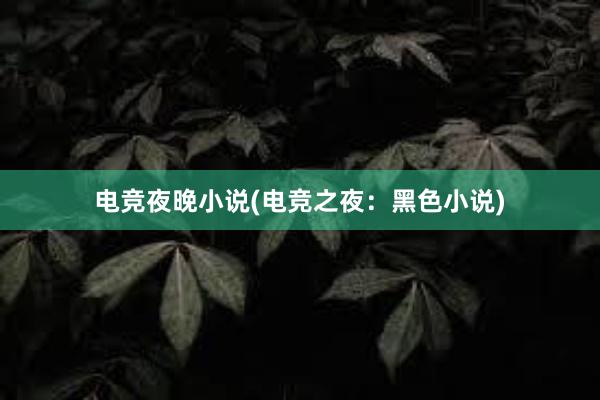 电竞夜晚小说(电竞之夜：黑色小说)