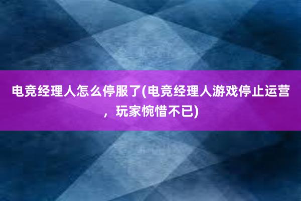 电竞经理人怎么停服了(电竞经理人游戏停止运营，玩家惋惜不已)