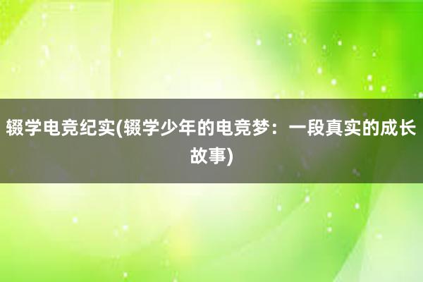 辍学电竞纪实(辍学少年的电竞梦：一段真实的成长故事)