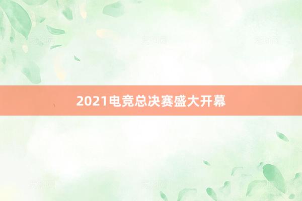 2021电竞总决赛盛大开幕