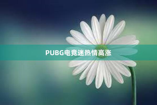 PUBG电竞迷热情高涨