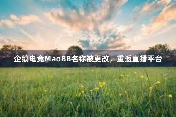 企鹅电竞MaoBB名称被更改，重返直播平台