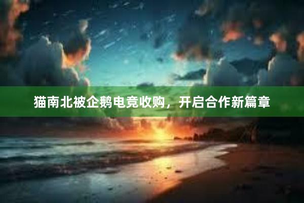 猫南北被企鹅电竞收购，开启合作新篇章