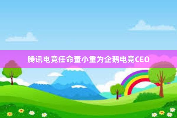 腾讯电竞任命董小重为企鹅电竞CEO