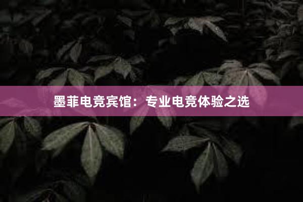 墨菲电竞宾馆：专业电竞体验之选