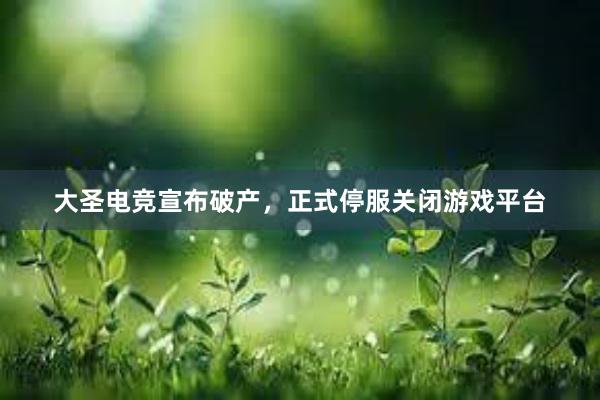 大圣电竞宣布破产，正式停服关闭游戏平台